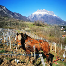 Charger l&#39;image dans la galerie, Vin de Savoie Blanc &quot;La Pente&quot; 2020 Domaine des Côtes Rousses
